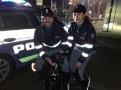Vagava pericolosamente in Variante di Valico: Pluto salvato dalla Polizia Stradale di Bologna