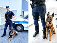 Unita cinofila della Polizia locale di Mirandola, un grande valore aggiunto al servizio dei cittadini
