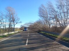 Maltempo, chiusura di alcune strade provinciali. Alberi pericolosi, tecnici al lavoro
