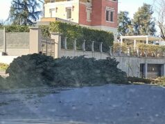 A Maranello raffiche di vento oltre i 100 km/h: effettuati 84 interventi per piante, cartelli e recinzioni