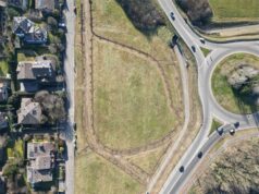 Forestazione urbana a Reggio Emilia: 112 nuovi alberi in via Svevo-Luxemburg