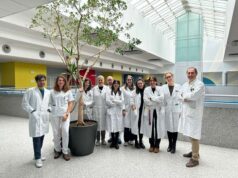 Epilessia: uno studio modenese pubblicato sulla rivista Brain chiarisce le correlazioni con le malattie degenerative