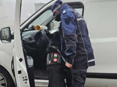 Spilamberto: fuma marijuana e guida senza patente (revocata da oltre 10 anni)