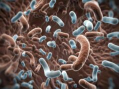 Oncoematologia, trapianto di microbiota pediatrico: dieci vite salvate nel 2024. Sant’Orsola “punto di riferimento nazionale”