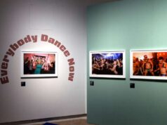 Grande successo dei Musei Civici di Bologna nel 2024. Incremento del +14% rispetto allo scorso anno