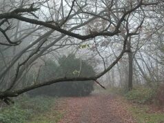 Maltempo, divieto di transito nei Percorsi natura di Panaro, Secchia e Tiepido