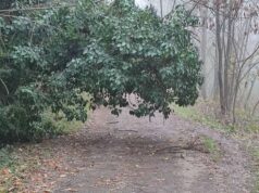 A Sassuolo chiusi parchi pubblici, accessi al Percorso Natura e Cimitero Monumentale