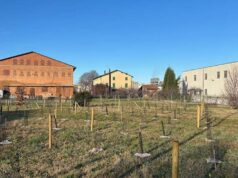 Manutenzione del verde a Fiorano Modenese