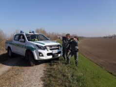 Collare elettrico: cacciatore sorpreso e multato