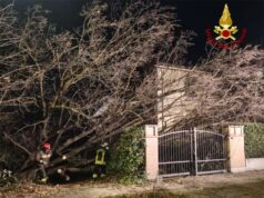 Prosegue il lavoro dei Vigili del fuoco in provincia di Reggio Emilia per i danni causati dal forte vento