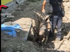 Scomparsa dell’imprenditore edile Salvatore Legari, in carcere un 38enne modenese