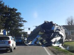 Allerta rossa per vento: chiusi tutti parchi pubblici a San Lazzaro di Savena