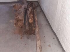 Eccidio Pratomaggiore, i tronchi nei magazzini comunali sono parte del patibolo