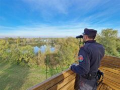 Conclusi i controlli venatori dei Carabinieri Forestali della campagna “Fauna sicura 2025”