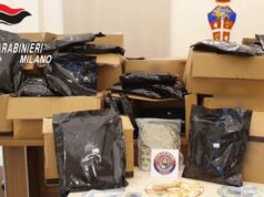 Blitz contro il narcotraffico, 12 arresti e 17 fermi