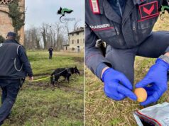 Casalgrande, il Sindaco Daviddi sugli animali morti a causa delle esche avvelenate
