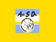 Cercasi volontari per supportare progetti per persone con decadimento cognitivo