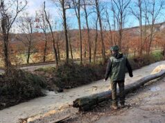 A Reggio Emilia aperte le iscrizioni al corso per Guardia Zoofila Volontaria