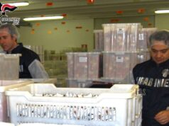 Sicurezza alimentare, controlli nella filiera dei piatti e delle pietanze precotte o pronte a cuocere