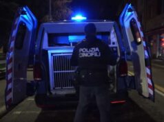 Due settimane di servizi di pattugliamento appiedato nel quartiere Bolognina
