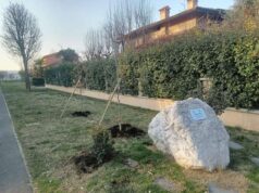 Sostituite le piante in memoria delle due vittime casalgrandesi e scandianesi del disastro di Linate, al Parco Linate di Dinazzano