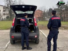 Foro Boario commercio illegale di prodotti alimentari non tracciati