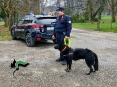 Cinque esche potenzialmente avvelenate rinvenute in aperta campagna a Casalgrande