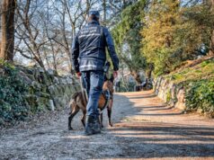 Controlli antidroga della Polizia locale ai Giardini ducali di Modena