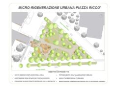 In piazza Riccò a Modena in arrivo 24 nuovi alberi