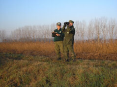 Cavriago, oltre 120 sanzioni per abbandono di rifiuti grazie ai controlli integrati tra GGEV e video sorveglianza dotata di intelligenza artificiale