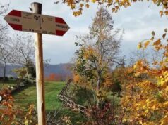 Il 3 marzo un incontro sulle azioni per valorizzare al meglio il territorio toanese dal punto di vista turistico