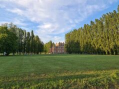 Appalto per la pulizia del parco di Villa Sorra