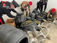 Più di 30 kg di marijuana nascosti in casa nella Locride, un arresto