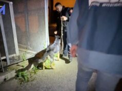 Dieci arresti nel Salernitano per scambio elettorale politico mafioso