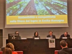 Forestazione, tremila aziende, 640mila ettari e un fatturato complessivo di 3,4 miliardi di euro: è la filiera del legno in regione