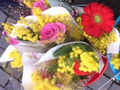 Il Circolo Culturale Artemisia vi aspetta in Piazza Garibaldi a Sassuolo con le sue mimose