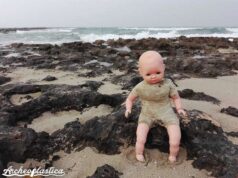 Le “archeoplastiche” in mare per 70 anni saranno esposte nella chiesa della Madonna