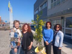 8 marzo: Mirandola illumina la facciata del municipio di giallo