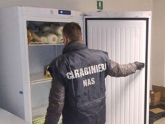 Oltre 11.000 euro di sanzioni per irregolarità igienico-sanitarie riscontrate dai NAS nei locali di ristorazione di Parma e provincia