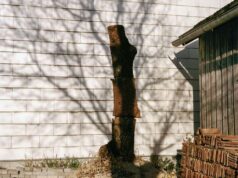 L’arte incontra il teatro: in mostra al Carani le fotografie di Peter Pflügler