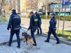 A Maranello proseguono i controlli della Polizia locale, in azione con l’unità cinofila