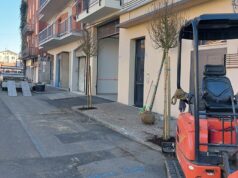 A Sassuolo nuovi alberi: 51 appena piantumati, 65 lo saranno nei prossimi giorni
