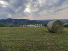 Confagricoltura ER: “L’agricoltura torni giovane, per il 2025 abbiamo bisogno di 6-7.000 lavoratori in Emilia-Romagna”