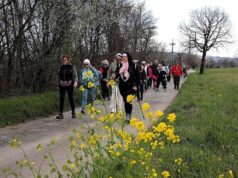 Domenica ad Albinea la camminata per ammirare la fioritura primaverile