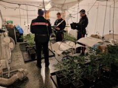 In casa 153 piante di cannabis, 10kg di droga e soldi: 63enne arrestato a Pianoro