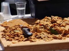 Tutto pronto per la grande Festa del Cicciolo, domenica 30 marzo a Casina