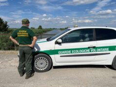 Vuoi proteggere per l’ambiente? Diventa Guardia Ecologica Volontaria. Serata informativa e corso gratuito a Reggio