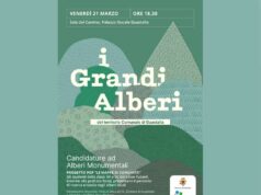 I grandi alberi del territorio comunale di Guastalla
