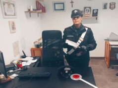 Trovato con una mannaia da macellaio in auto, 46enne finisce nei guai nel reggiano