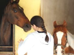 Open day “Cavalli in armonia: un cavallo per abbattere tutte le barriere”